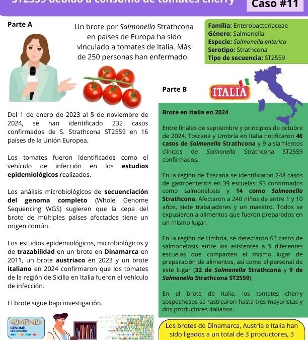 Brotes de Salmonella