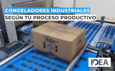 Guía para elegir congeladores industriales según tu proceso productivo