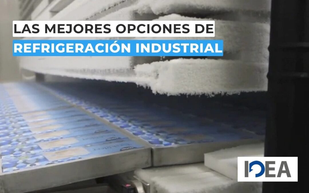 Refrigeración industrial: las mejores opciones para la industria alimentaria