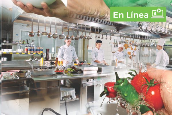 curso-linea-implementacion