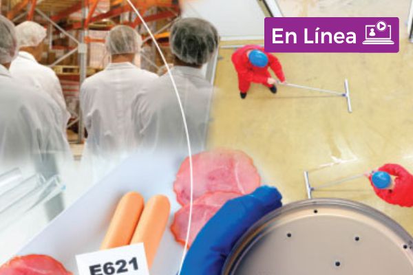 diplomado-en-linea