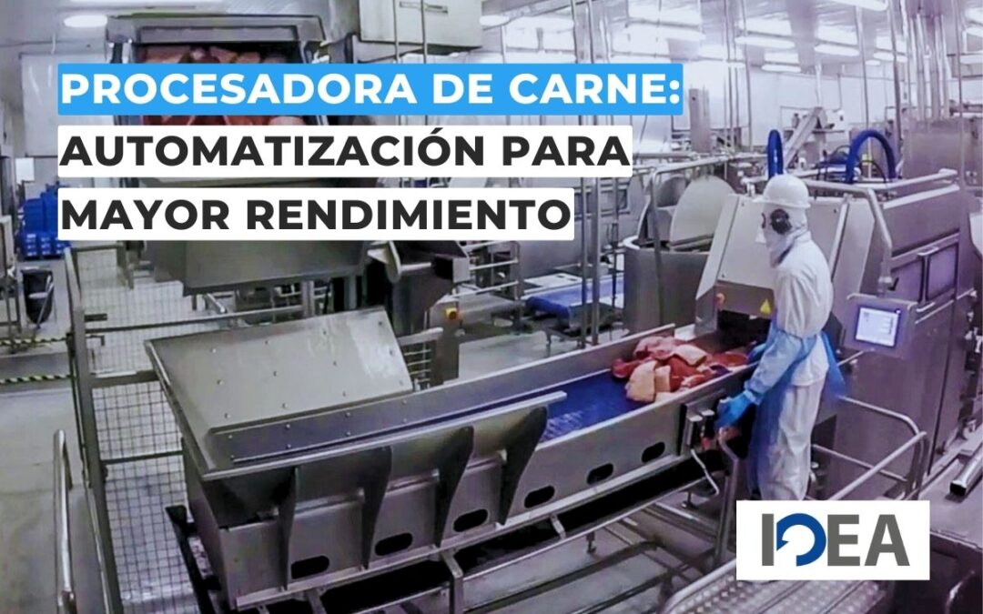 Procesadora de carne: automatización y eficiencia para mayor rendimiento