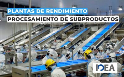 Plantas de rendimiento: procesamiento de subproductos con eficiencia, trazabilidad y sanidad