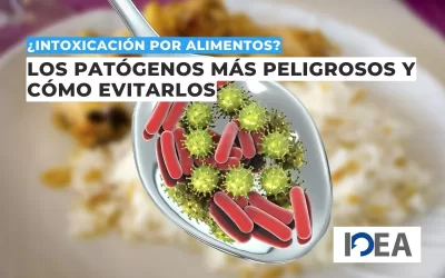 ¿Intoxicación por alimentos? Los patógenos más peligrosos y cómo evitarlos