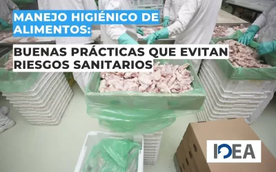 Manejo higiénico de alimentos: Buenas prácticas que evitan riesgos sanitarios