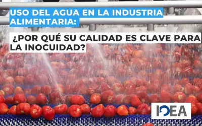 Uso del agua en la industria alimentaria: ¿Por qué su calidad es clave para la inocuidad?
