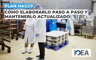 Plan HACCP: Cómo elaborarlo paso a paso y mantenerlo actualizado