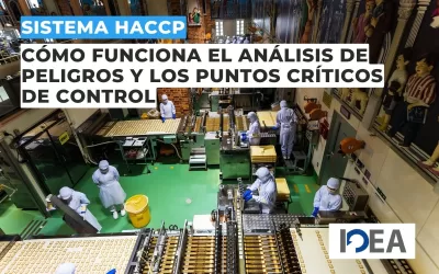 Sistema HACCP: Cómo funciona el análisis de peligros y los puntos críticos de control
